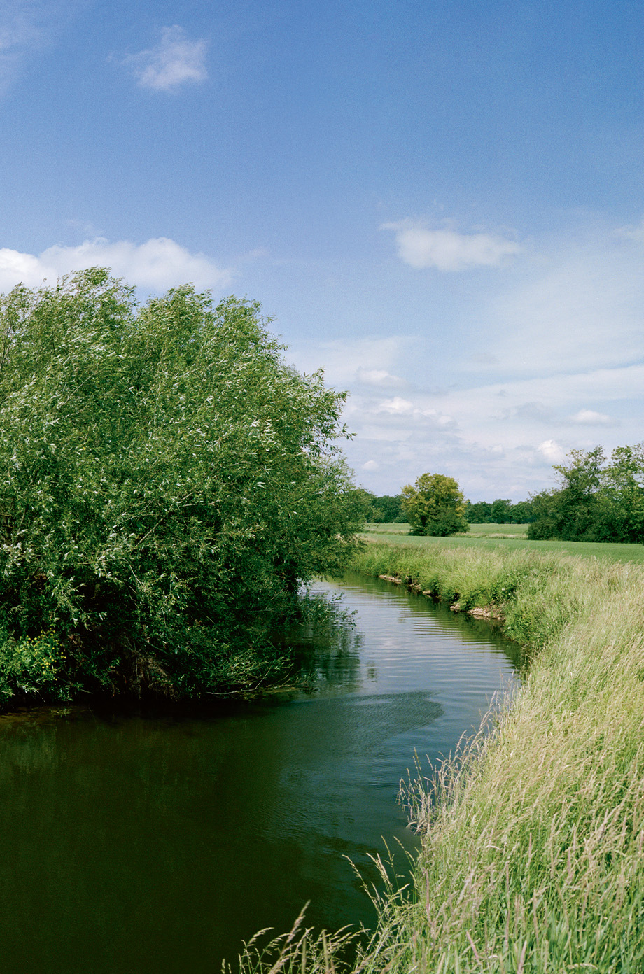 私たちの信条は、責任ある行動