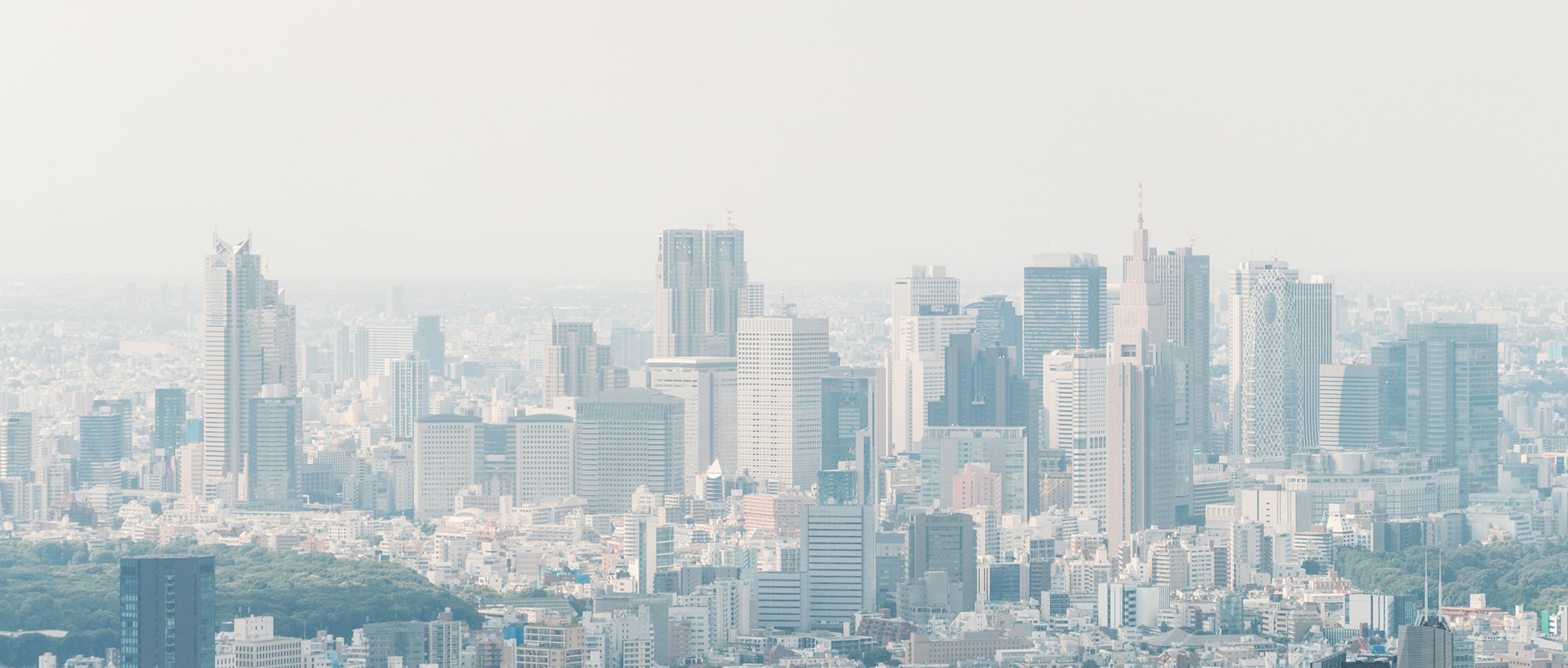 


<h1 style="margin-right:4.0cm">Niessing architecture<br></h1>





