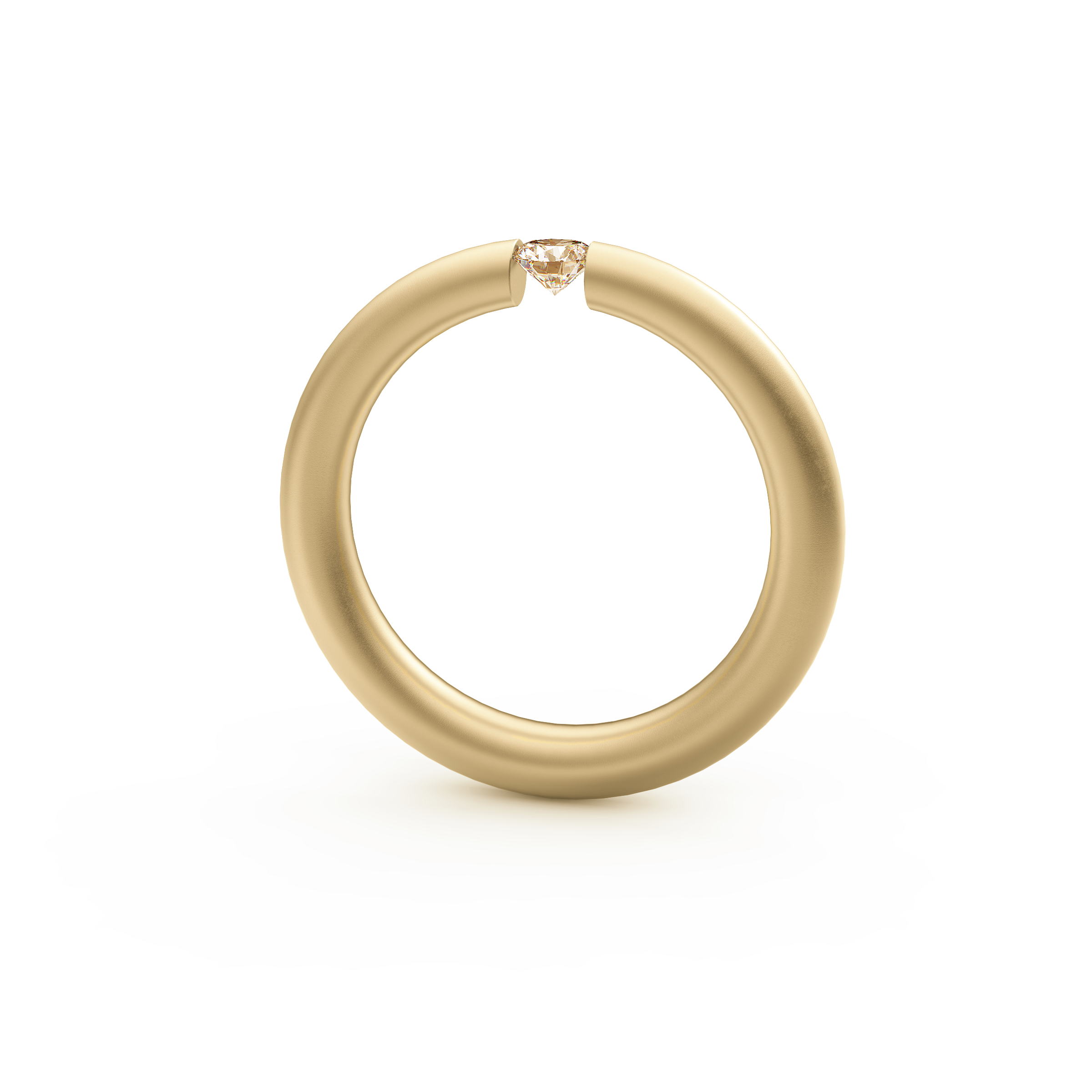 Niessing Spannring® Antares