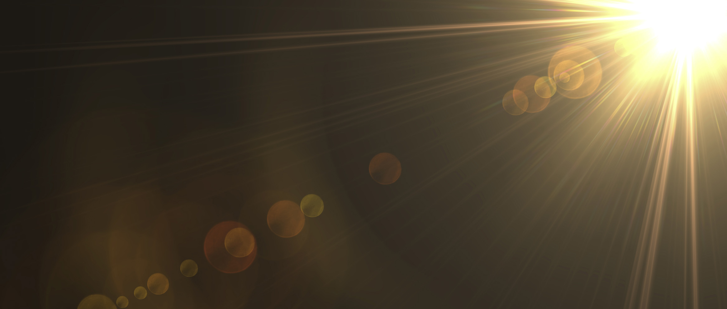 
光の波に誘われて