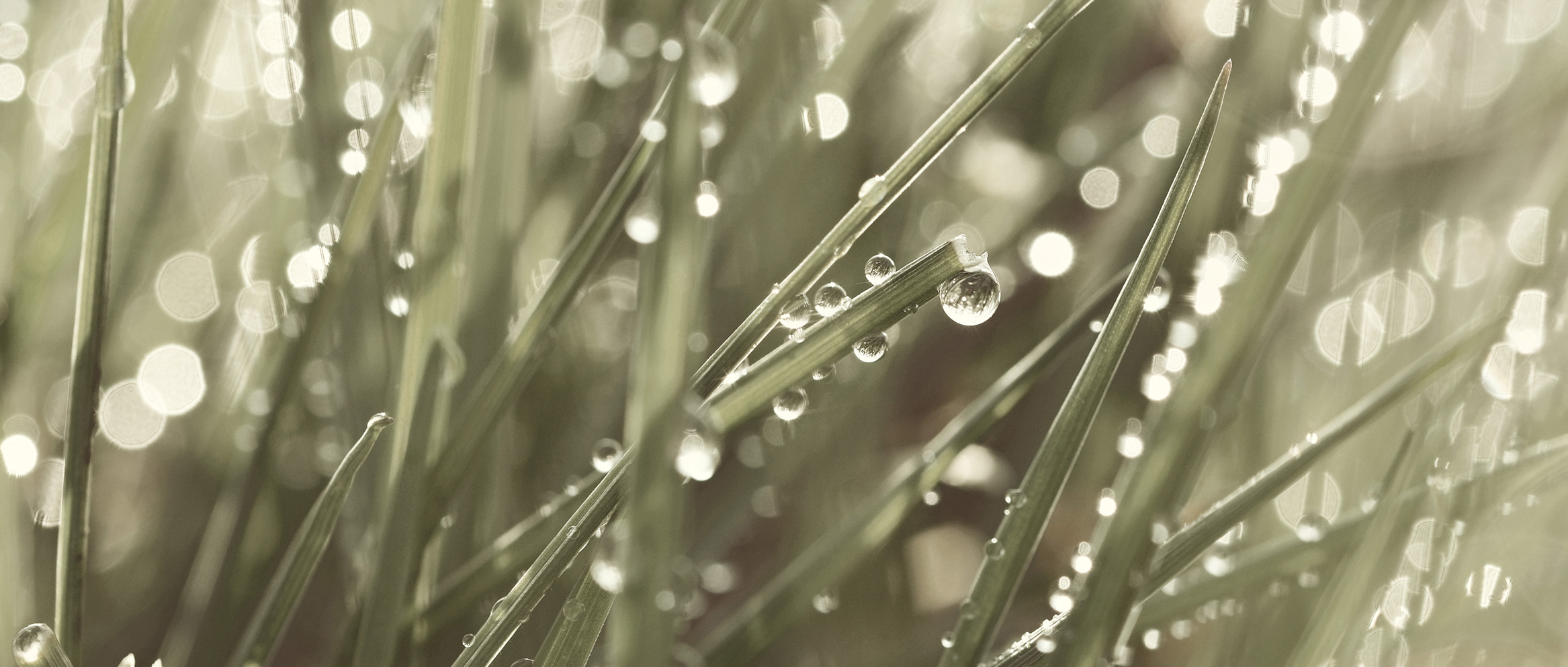 


<h1 style="margin-right:4.0cm">ゴールドを隠し味に加えたシルバー</h1>





