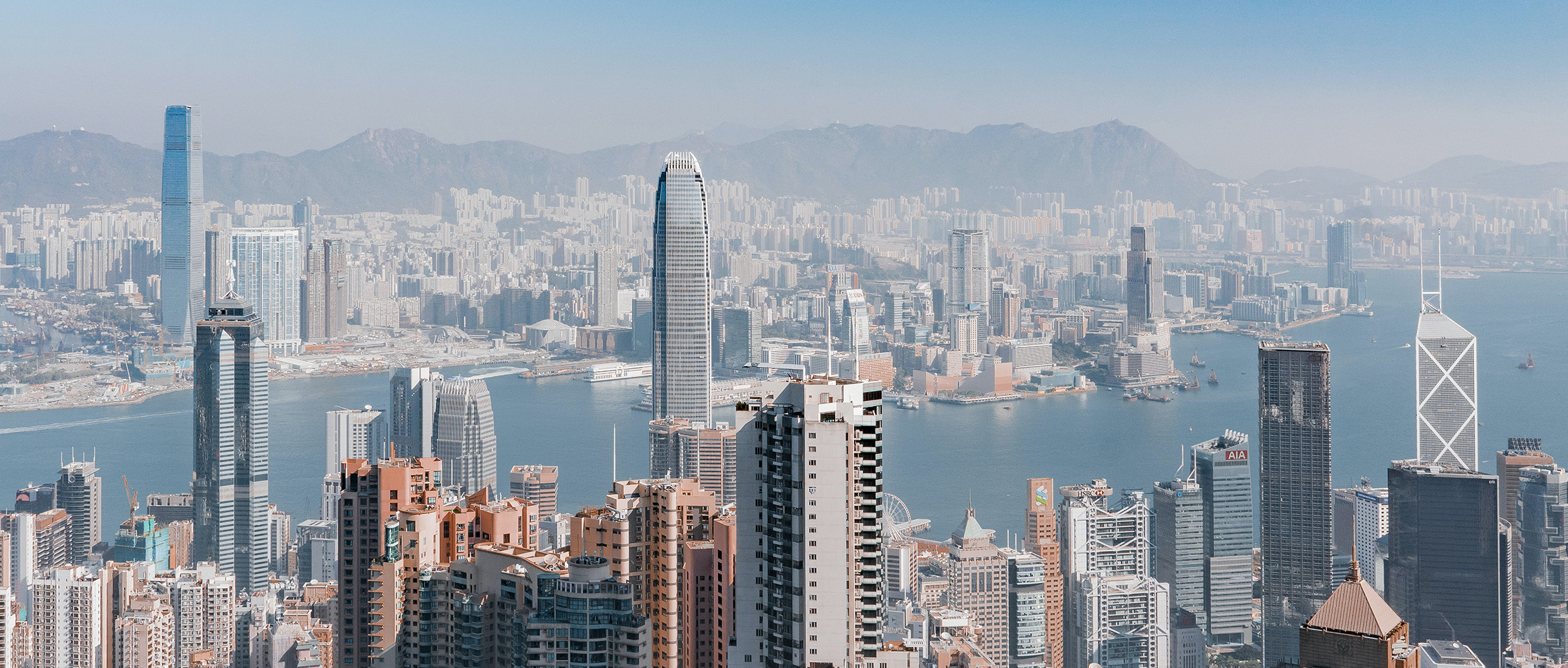 


<h1 style="margin-right:4.0cm">Niessing architecture<br></h1>





