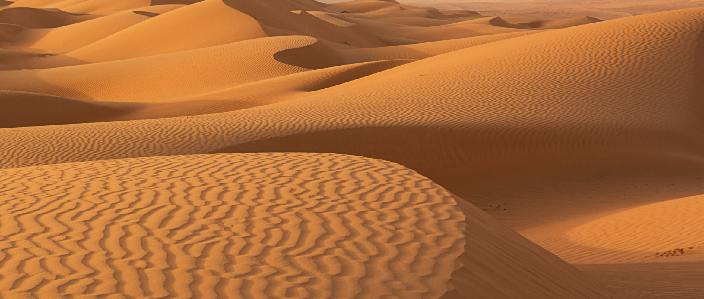 あなたにはどんな「TOPIA（風景）」が見えますか？